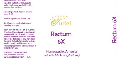 Rectum 6x Ampules (Rectum 6x Ampules)